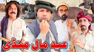 Eid Mal Mandi New Funny Video Zalmi Vines eidmubarak [upl. by Maer]