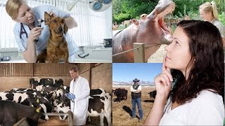 Atascadero High School Career Pathways Animal Science [upl. by Pare]