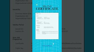 TLS Certificate Explained tlscertificate [upl. by Eisor100]