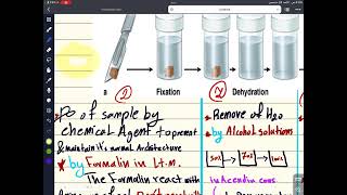 Microtechniqueمحاضرة1 [upl. by Ibson]