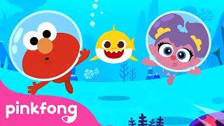 Baby Shark with Sesame Street  Baby Shark Song Compilation  Pinkfong Kids Song [upl. by Favin663]