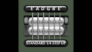 Perfect Guitar Tuner Standard  14 Step Up [upl. by Rednav]