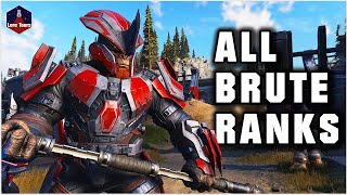 All Banished Brute Ranks  Halo Lore [upl. by Inahc522]