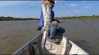 Pescado sudado  pescado asado  campamento a la orilla del río y pura pesca con anzuelo [upl. by Therron]