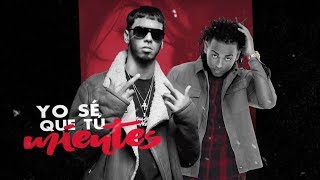 Ozuna FT Anuel AA  Bebe Lyric Video  Odisea [upl. by Dahcir496]