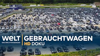 Heiligs Blechle  Deutschlands größter Gebrauchtwagenhandel  Doku [upl. by Gnay283]