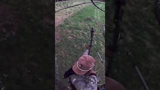 Bowhunterss favorite sound ￼ deer hunting fieldarchery nature [upl. by Travis]