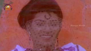 Chaliki Doriki Video Song  Simha Swapnam Telugu Movie Video Songs  Jagapathi Babu  Vani Viswanath [upl. by Acirred97]