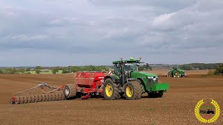 Ackerbau in Ostdeutschland  John Deere 9620RX 8R  Horsch Serto 12 SC  Horsch Cruiser 12 XL [upl. by Rye]