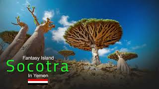 Vietnamese Fantasy Island Fantasy Island Yemeni Socotra Island [upl. by Ellecrag36]