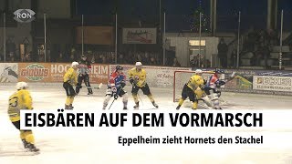 Eisbären auf dem Vormarsch  RON TV [upl. by Yirinec12]