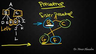 SYNTAX11 Structural Relations Precedence [upl. by Riancho]