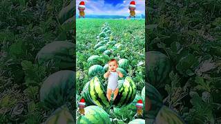 Dhink Chika 🍏cute baby watermelon vfx magic video shorts trading shortvideo viralvideo ytshorts [upl. by Oeak742]