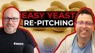 How To Start Repitching Yeast In Your Brewery To SAVE THOUSANDS and BREW BETTER BEER  QFPB E003 [upl. by Simpson398]