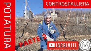 POTIAMO assieme il NEBBIOLO a controspalliera Tutorial Parte 2  Alberto Milano [upl. by Retla]