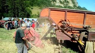 Vidéo de battage à lancienne avec une batteuse à Cornus en Aveyron [upl. by Egiarc605]