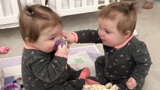 Funniest TWIN Baby Girls Share A Pacifier [upl. by Naesad]