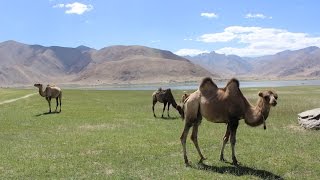 Karakoram Highway The Border of China and Pakistan [upl. by Damon]