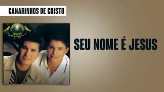 Canarinhos de Cristo  Seu Nome é Jesus  Álbum Fantástico [upl. by Ezitram]