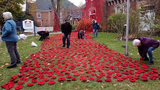 Remembrance Day Services From Across Niagara on YourTV Niagara [upl. by Yetnom]