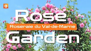 Roseraie de LHAY Roseraie du ValdeMarne France 🇫🇷 [upl. by Vezza519]