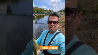 Pesca en los canales de Miami [upl. by Aliakim]