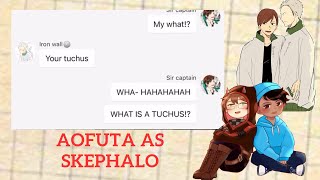 Aofuta as skephalo  haikyuu x dsmp  haikyuu texts [upl. by Suzann]