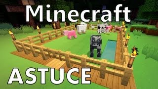 Minecraft  Comment faire de lElevage [upl. by Curzon]