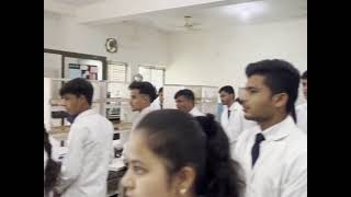 BTIPS college sironja sagar [upl. by Engapmahc]