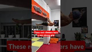 These rock climbers have a very strong grip facts shortsvideo trendingshorts [upl. by Amend]