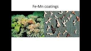 Radiogenic Isotopes in Paleoceanography [upl. by Baese504]