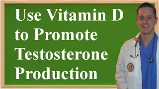 How To Use Vitamin D to Promote Testosterone Production [upl. by Indys]