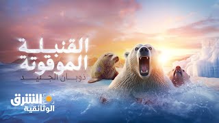 القنبلة الموقوتة  ذوبان الجليد  الشرق الوثائقية [upl. by Esela]