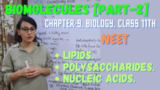 Biomolecules Part2  Lipids  Polysaccharides  Nucleic Acids [upl. by Dre]