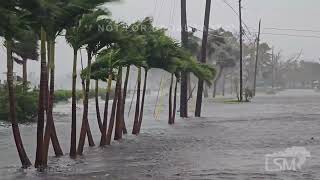 10092024 Venice Florida  Hurricane Milton  Storm Surge Nearing Homes  Strong Winds [upl. by Elsy604]