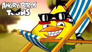 Angry Birds Toons Season 3  THE PORKTRAIT Cartoon Episode 7 [upl. by Corb14]