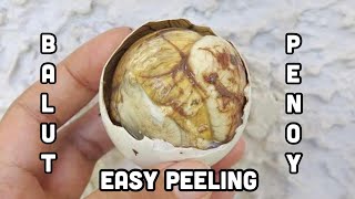 EASY WAY TO PEEL BALUT PENOY EGGS PEELING EGGS Jeans Channel [upl. by Nylirehc296]