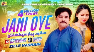 Jani oye Wala song Zille Hasnain New song 2024New viral song [upl. by Nevad131]