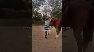 horse sporthorses horsesports cowgirl horseracing rodeo [upl. by Isidora]