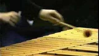 Rosauros Concerto for Vibraphone and orchestra 2nd Mov [upl. by Araf]