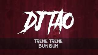 DJ TAO ✖ TREME TREME ✖ BUM BUM [upl. by Eilrahc768]