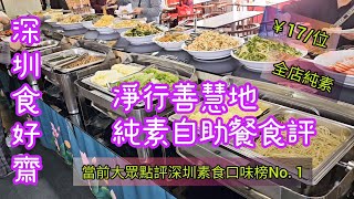 《深圳素食自助餐》￥17位 款多好味道 性價比高 全店純素 凈行善慧地 深圳素食店 午市純素食評（附中字，地址及前往教學 Vegan Buffet  Shenzhen vegan food [upl. by Aitenev207]