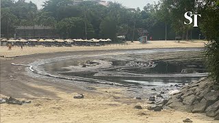 Oil washes up at Singapore beaches Tanjong Beach and East Coast Park affected [upl. by Attelliw]