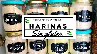 ¡CREA TUS PROPIAS HARINAS EN CASA CON OPCIONES SIN GLUTEN Transición Vegana [upl. by Garratt667]