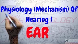 Mechanism Of Hearing  Physiology Of Ear Function  AKs Medicology [upl. by Atsyrhc]