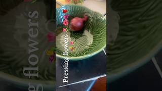 Pressing flowers howtogrowyoutubechannel gardening howtomoreviews halloween funny gamereview [upl. by Nylatsirhc411]