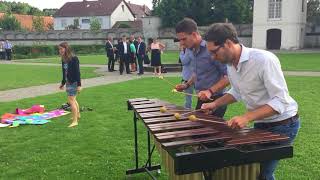 March of the Toreadors on Marimba [upl. by Gnouhp161]