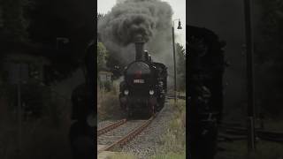 🇨🇿 Parní lokomotiva 4342186 train railway steam vlaky lokomotiva railway history railroad [upl. by Latsyrk403]