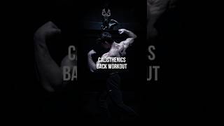 Full Calisthenics Back Workout‼️calisthenics [upl. by Stilwell]