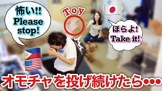 Throwing Things At My Filipino Boyfriend Prank International Couple [upl. by Kyriako]